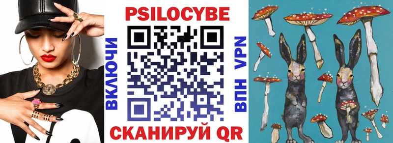 omg как войти  Свирск  Галлюциногенные грибы Psilocybe  даркнет сайт 